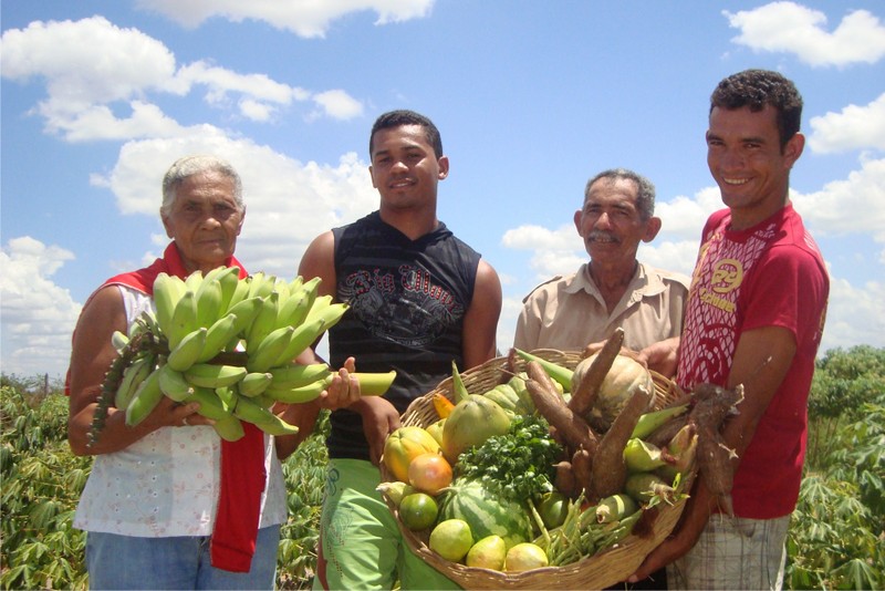 Artigo: A realidade, os desafios e as perspectivas para agricultura familiar em Rondônia 